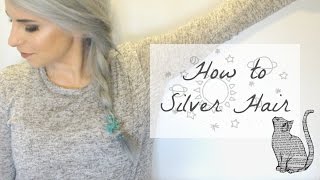 How to Silver Hair using Ion Color Brilliance  Kathleens Basics [upl. by Lail]