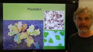 Biologie HV BB Plantaardige en dierlijke cellen [upl. by Link790]