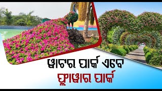 Flower Park In Nashik With Over 6 Lakh Flowering Plants Attracts Tourists [upl. by Daniell]