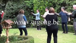 Qi Gong voor fibromyalgie cvs en reuma [upl. by Leonidas861]