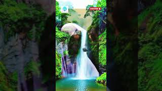 Very Beautiful Quran Recitation by Sheikh Feysal Muhammad quran islamicvideo allah [upl. by Cookie]