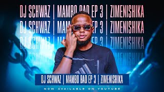 Dj Schwaz  Mambo Bad EP 3  Zimenishika [upl. by Adnek670]