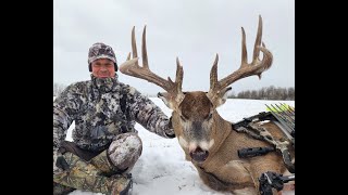 Edmonton Bowzone Whitetail Bowhunting 2022 [upl. by Emylee]