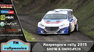 Haspengouw rally 2015  SHOW amp ONBOARDS HD [upl. by Nrubua]