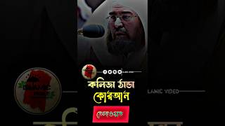 সূরাফাতিহা surafatiha islamicshorts islamicvideo trendingshorts [upl. by Maury]