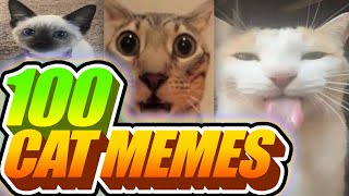 I Voiceovered 100 Cat Memes [upl. by Enilemme]