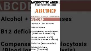 Macrocytic Anaemia science humanbody [upl. by Elkcim]