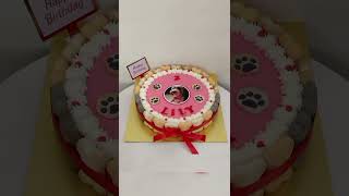 Photo Cake for your Pets Birthday photocakes petfriendlycake cakewithoutbakingpowder dogcake [upl. by Doak]