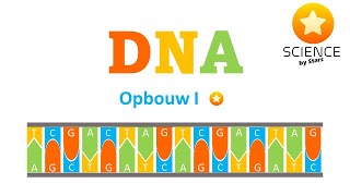 DNA opbouw 1 [upl. by Peck]