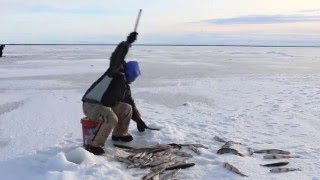 A Winter on the Kuskokwim [upl. by Gisella]