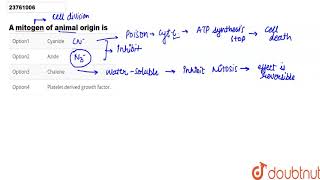 A mitogen of animal origin is [upl. by Atteirneh]