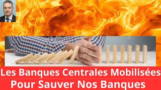 LA MOBILISATION DES BANQUES CENTRALES PEUT ELLE SAUVER NOS BANQUES [upl. by Holna]