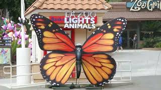 LA Zoo Zoo Lights Setup Los Angeles California USA October 15 2024 Animals Conservation Holidays [upl. by Yrrap]