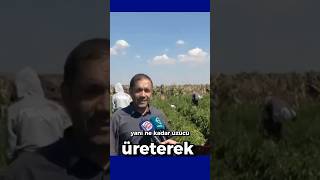 Yerli ve millilik bu mu çiftçinin durumu daha iyi anlatılamaz [upl. by Airaet88]