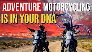 ADVENTURE Travel  20 of humanity have the DRD47R gene Adventure amp travel is in your DNA [upl. by Sumaes]