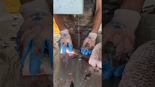 Big Rohu Fish Fast Cutting By Machine In Fish Market l Amazing Cutting Skillsshorts [upl. by Ammamaria]