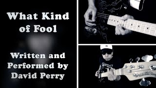 What Kind of Fool Remix  David Perry [upl. by Enilemme]