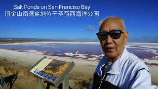 Salt Ponds on San Francisco Bay 旧金山南湾盐地位于圣荷西海洋公园，追梦者胡 0312024 [upl. by Drona464]