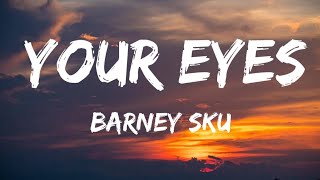 Barney Sku Your eyes Lyrics  quotyour eyes  ☑ got my heart falling for youquot [upl. by Leirrad]