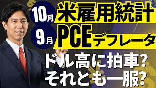 「9月PCEデフレータ、10月米雇用統計」まるっと解説！米国経済指標と為替動向！ [upl. by Haleemak]