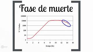 UT3  Crecimiento Microbiano [upl. by Helaine217]