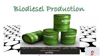 BIODIESEL PRODUCTION Tamil CSIR NET TNSET GATE  BSc MSc PhD Subhas Life Science [upl. by Jana800]