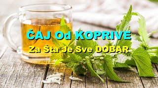 ČAJ Od KOPRIVE  Za Šta Je Sve DOBAR [upl. by Htiaf]