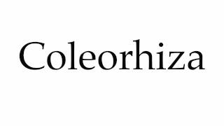 How to Pronounce Coleorhiza [upl. by Cirdor]