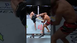 Fialho 🆚 Salikhov mma ufc youtubeshorts ufcfightnight [upl. by Naivaf]