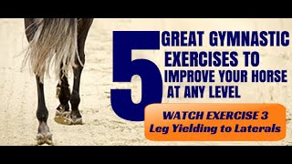 5 Great Gymnastic Exercises to Improve Your Horse  Exercise 3 Leg Yielding to Laterals [upl. by Brandie]