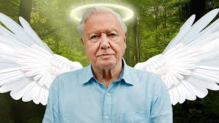 Why I Stopped Idolizing David Attenborough [upl. by Yssej]