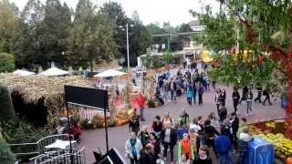 Ein Tag im Europa Park Halloween [upl. by Asilec650]