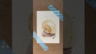 Concha caracol em aquarela [upl. by Melbourne]