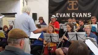 Llandeilo Town Band [upl. by Hamford145]