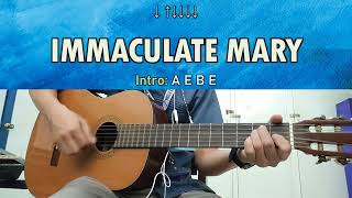 Immaculate Mary  Guitar Chords [upl. by Olnton]