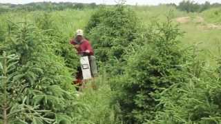 Tree Farm Mowing with Ventrac [upl. by Faythe366]