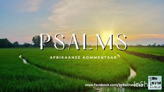 Psalms 119 verse 25  32 Vanessa Vorster  Die Bybel in Een Jaar [upl. by Ashman]