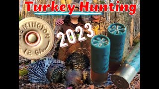 2023 WILD TURKEY HUNT 🦃💥 Big Tom Down Barronett Ox 5 Hub Blind turkey hunting longbeard 2023 [upl. by Gaskill767]