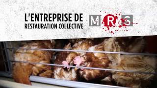 Multi restauration Services MRS  Stop aux œufs de poules en cage [upl. by Rance]