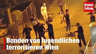 Banden von Jugendlichen terrorisieren Wien  kronetv NEWS [upl. by Annaehr]