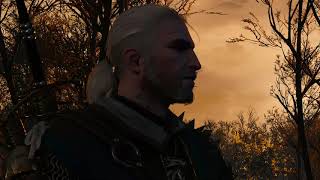 Witcher 3 Todos los Finales y slides  All endings and slides [upl. by Wende]