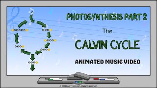 Photosynthesis Part 2 The Calvin Cycle  Animated Music Video [upl. by Adi]