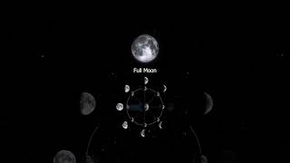 Moon Phases  Why does The Moon change its Shape shorts space moon moonphases animation [upl. by Gladdie]