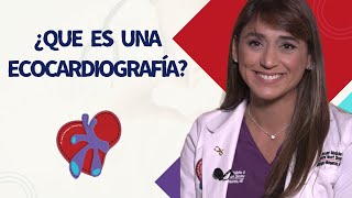 ¿Qué es una Ecocardiografia [upl. by Ekusuy925]