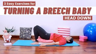 How to Turn a Breech Baby into Head Down position  3 Exercise to Help Naturally Flip a Breech Baby [upl. by Nowad816]