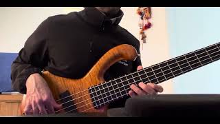 Ritter bass 5 String with myl Boss wah pedal bosspedal bass slap [upl. by Namurt6]