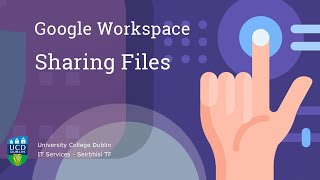 Google Workspace  Sharing Files [upl. by Mackenzie648]