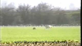 The Fen Fever Dogs 5th Feb Outing [upl. by Nnaitsirhc844]