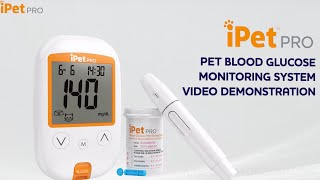 How to Use the iPet PRO Blood Glucose Monitoring System to Test Your Pets Blood Glucose [upl. by Crompton41]