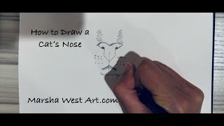 How to Draw a Cats Nose [upl. by Desdamona972]